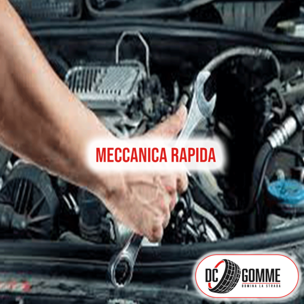 Meccanica Rapida