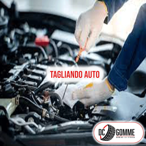 Tagliando Auto